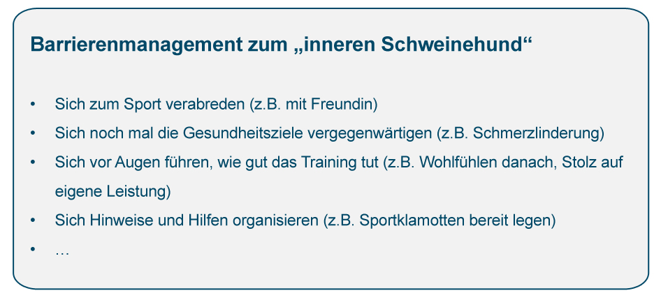 Barrierenmanagement zum inneren Schweineund