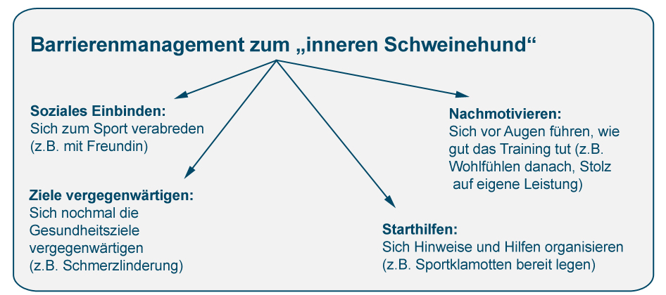 Barrierenmanagement zum inneren Schweineund